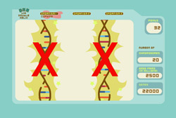 help - DNA - the double helix game
