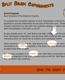 Help - the Split Brain Experiments Game